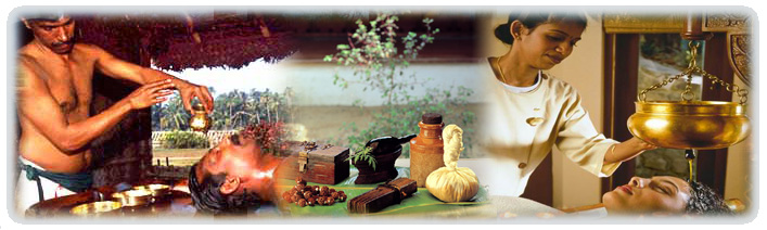 Kerala Ayurveda Spa Tour